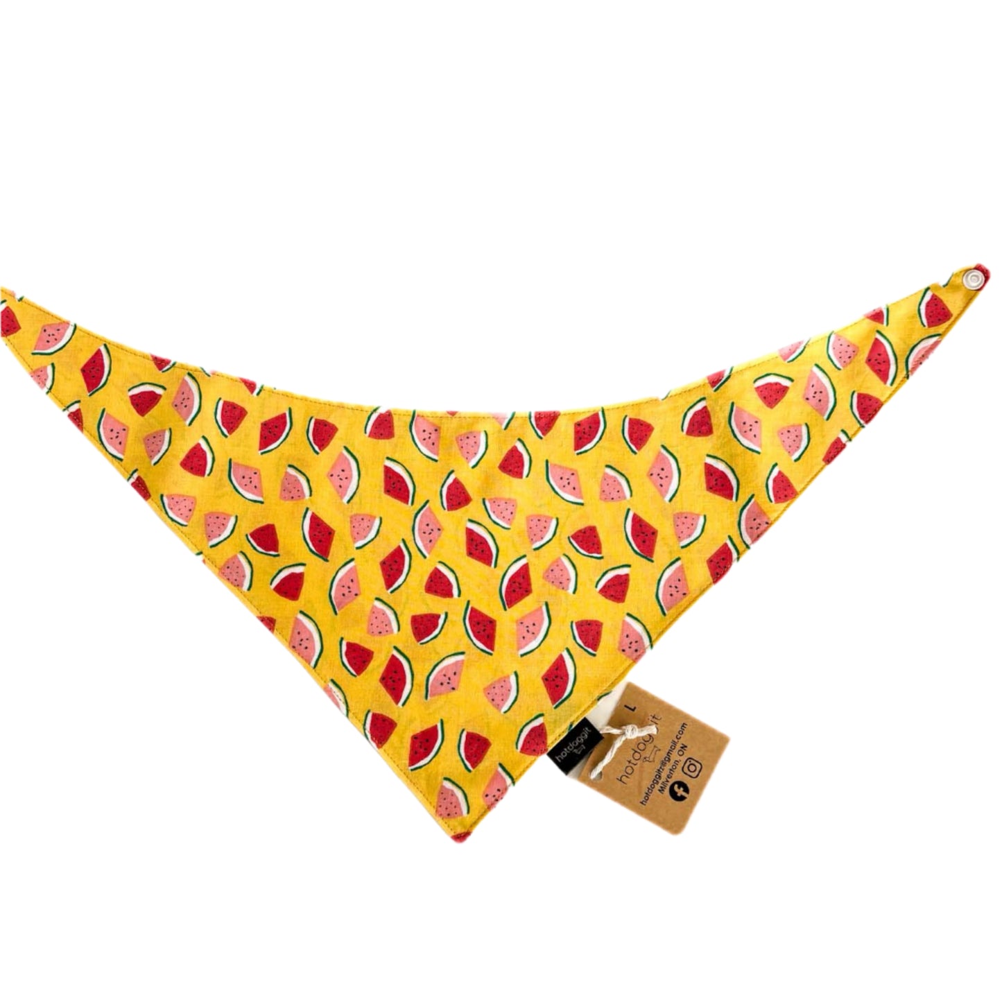 Bandana | Watermelons