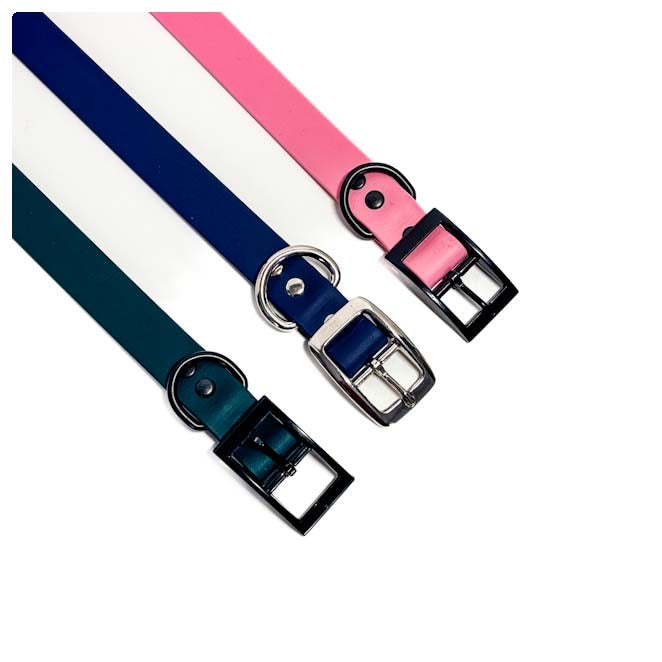 Collars & Leashes