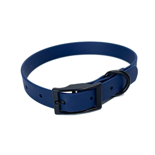 Collar | Navy - Buckle