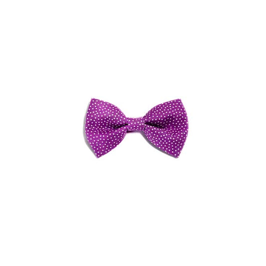 Bow Tie | Polka Dots