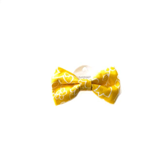 Bow Tie | Sunshine