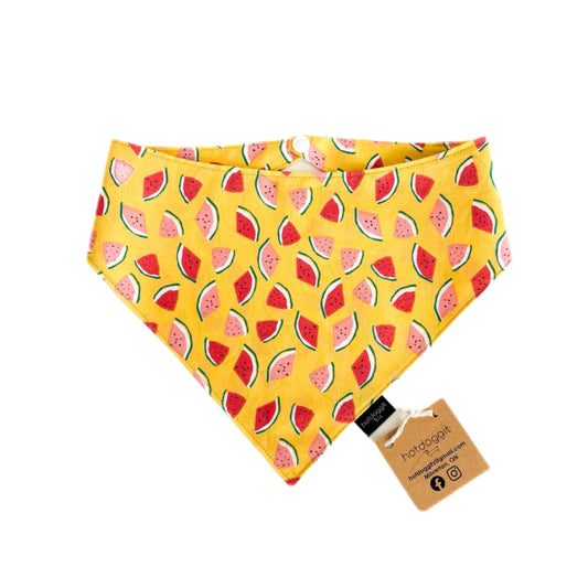 Bandana | Watermelons