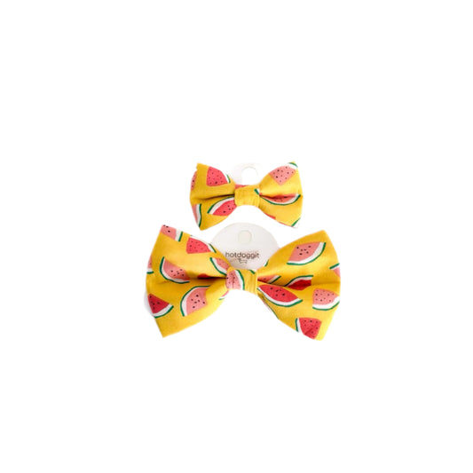 Bow Tie | Watermelons